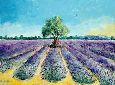 14059 - Lavendelfeld 8581